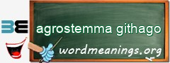 WordMeaning blackboard for agrostemma githago